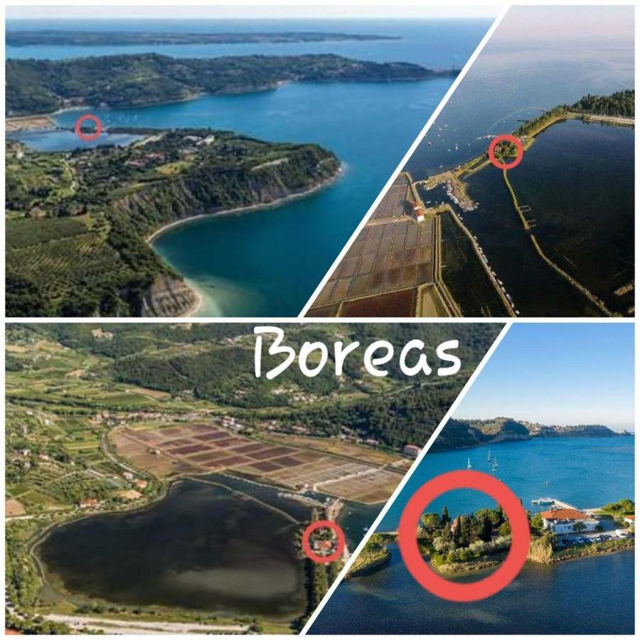 Apartment Boreas Strunjan Eksteriør billede